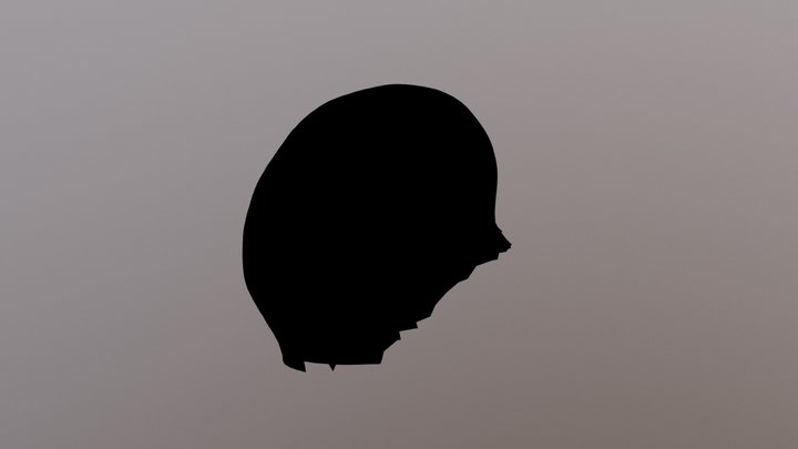 Cerebro 3D Model