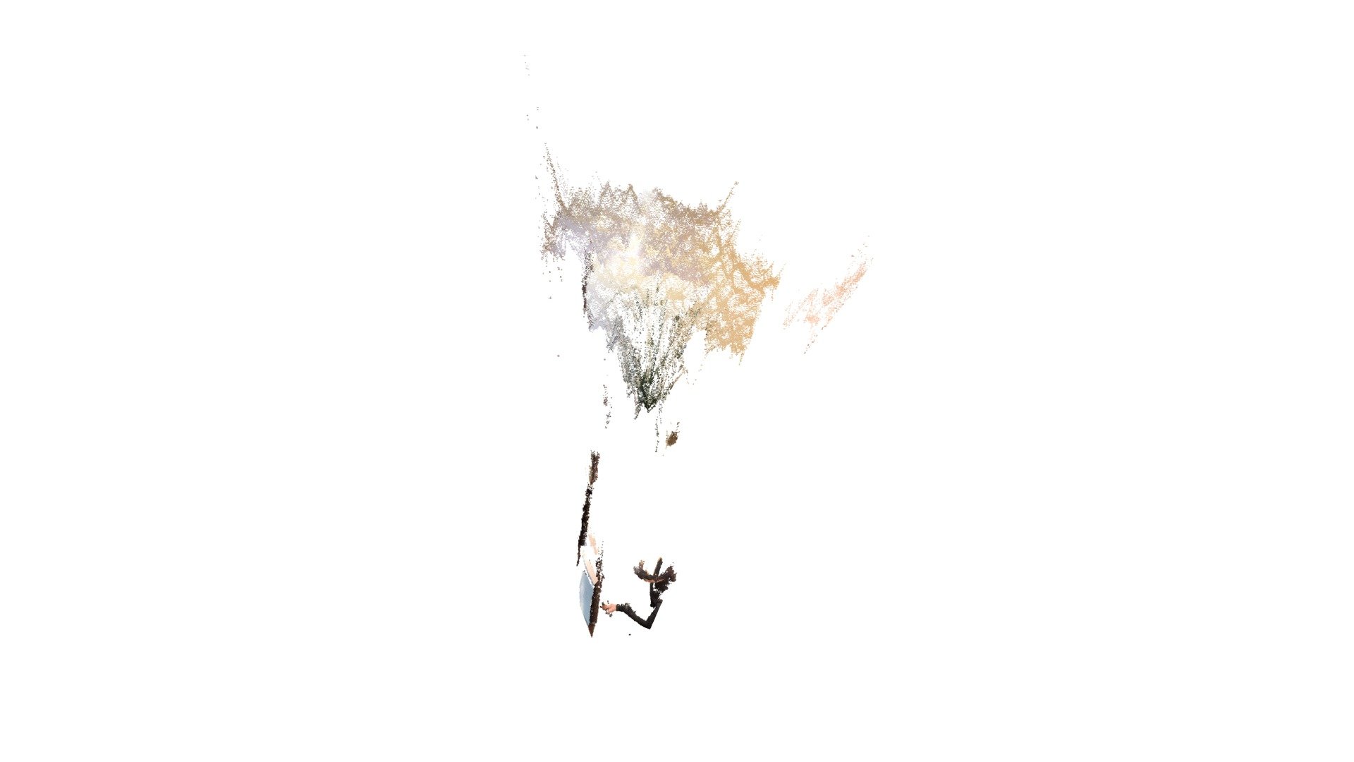 birdballad_pointcloud_performer