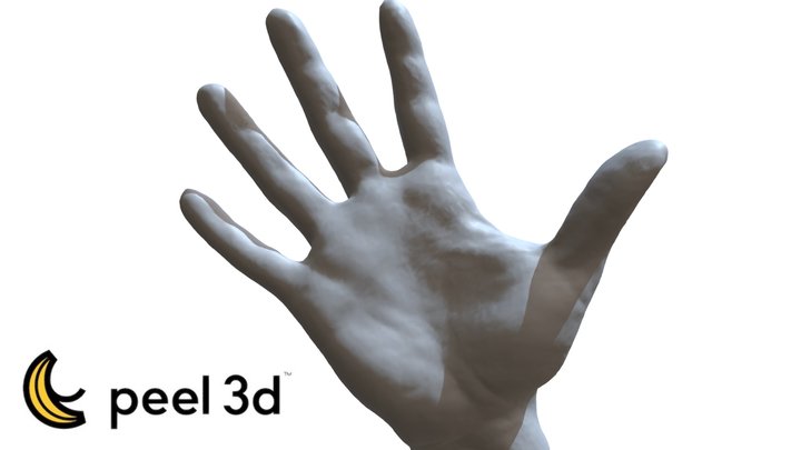 Human hand with peel 3d 3D Model