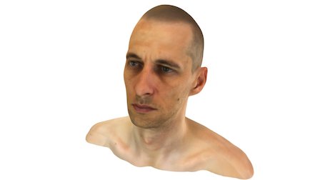male bust 3D Model