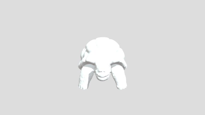 Tortoise Model 3D Model