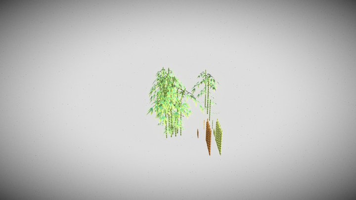 Bamboo Asset Pack 3D Model