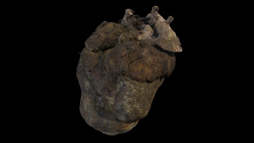 Cow's heart charm