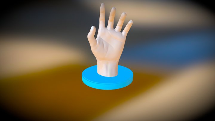Hand 3D Model