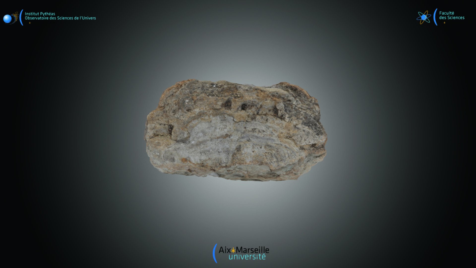 Roche - Stromatolite