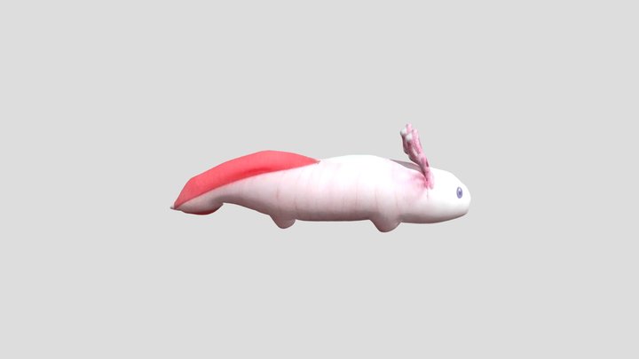 Аксолотль блоптоп 3D Model