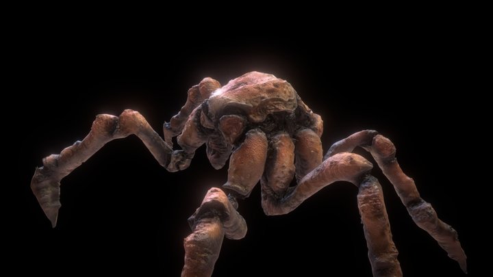Mega Spider Crab 3D Model