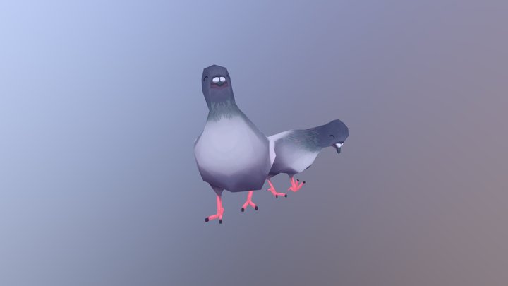Pigeon Duo 3D Model