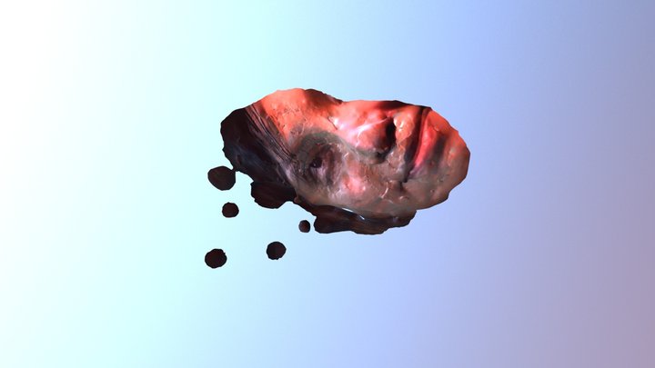 sharon car 3D Model
