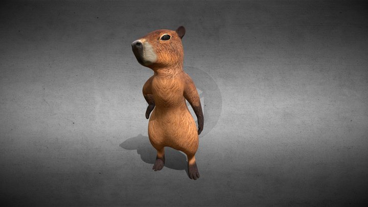 Carpincho / Capybara VRChat avatar 3D Model