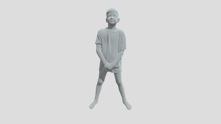 Camouflage Confidence 3D Model