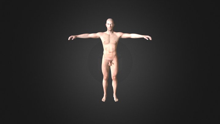Avatar39 3D Model