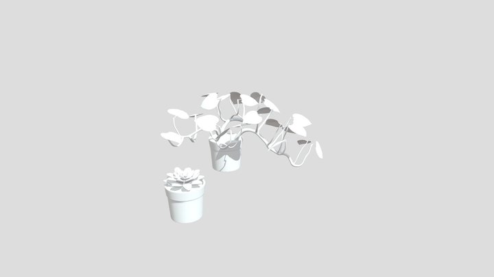 plants 3D Model
