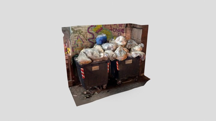 Overflowing Garbage bin 3D Model