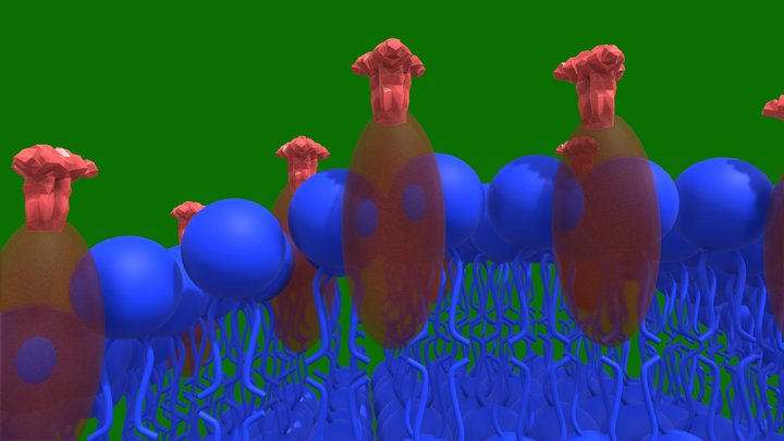 Transporte Ativo 3D Model