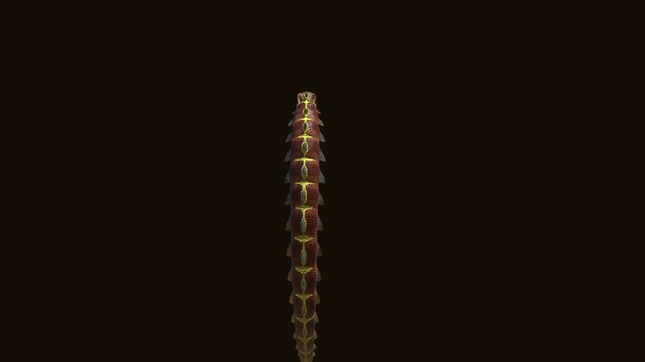 Giant Snake 3D Model