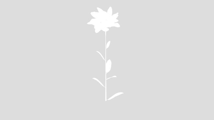 Realistic White Flower