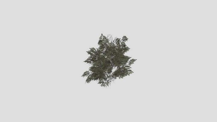Small Tree – Modello 3D gratuito STL