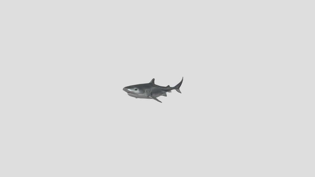 TigerShark Toy