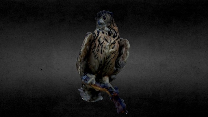 Howl 3D Model