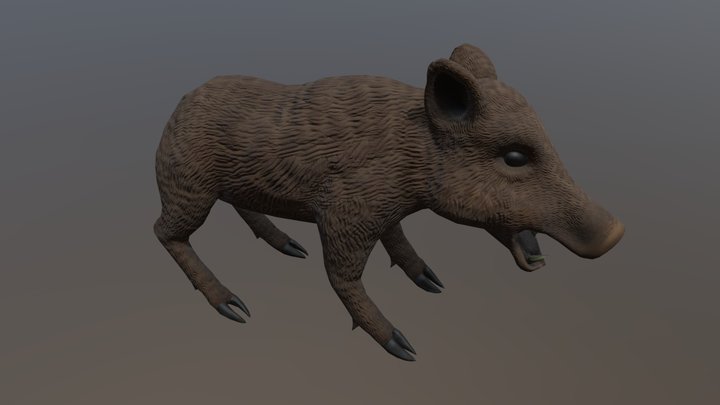 Boar 3D Model