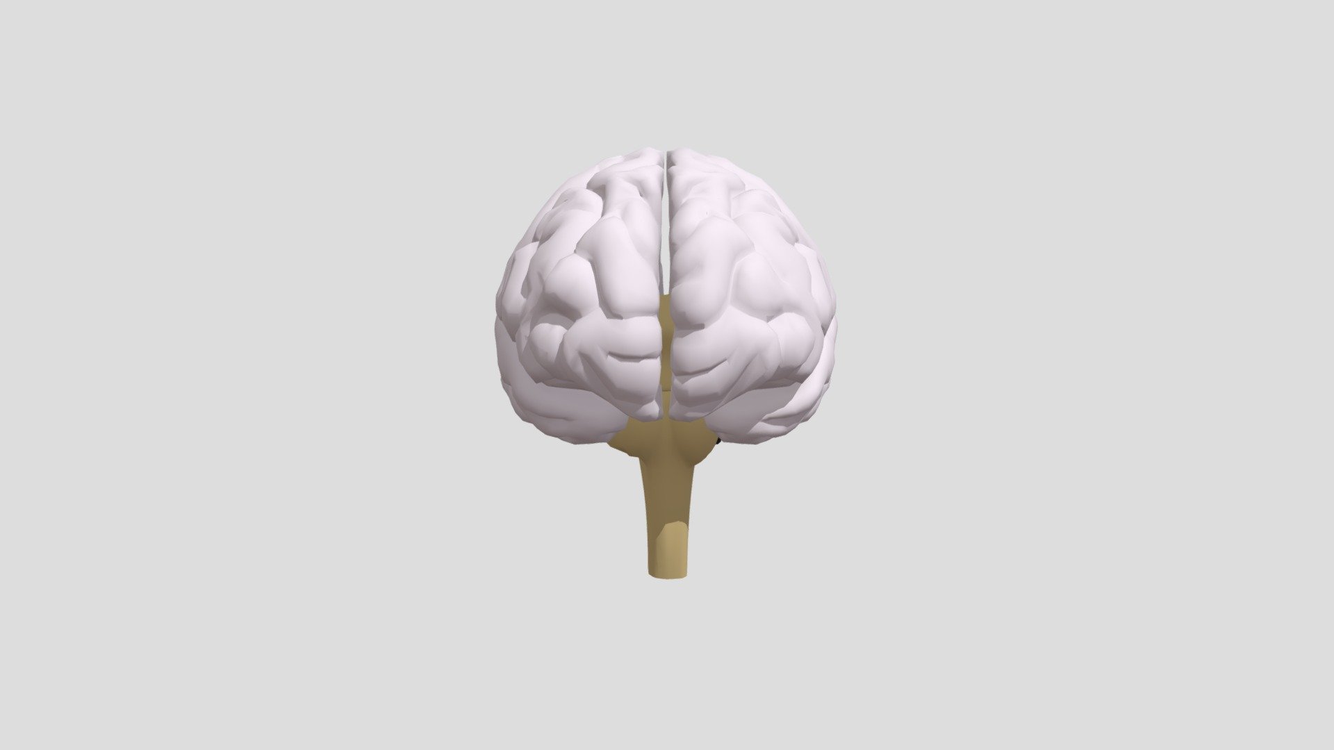 Brain - Buy Royalty Free 3D model by Toonz Media Group (@taipl ...