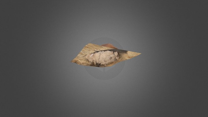 Basa 3D Model