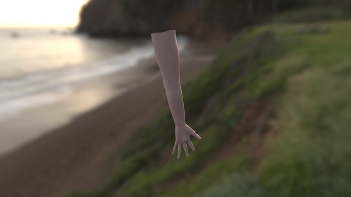 Bras Main2 3D Model