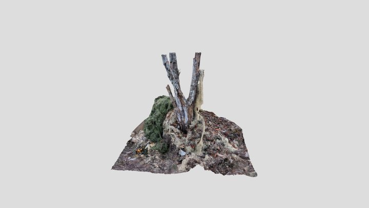 Dead tree 3D Model