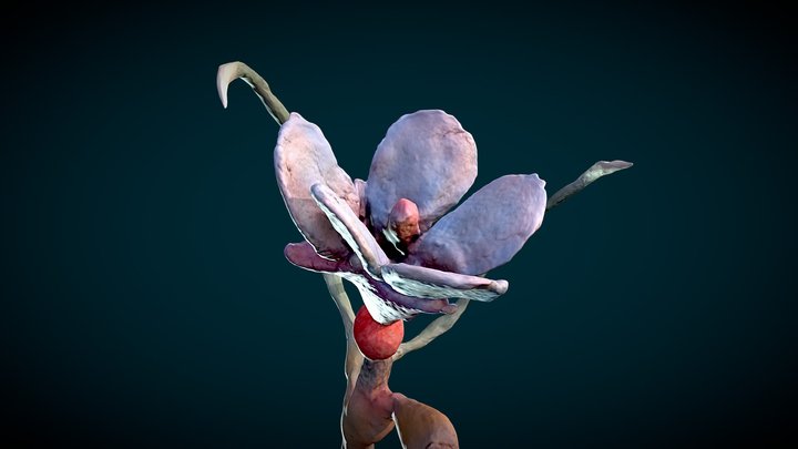 Oneiric Flora_Helado Negro 3D Model