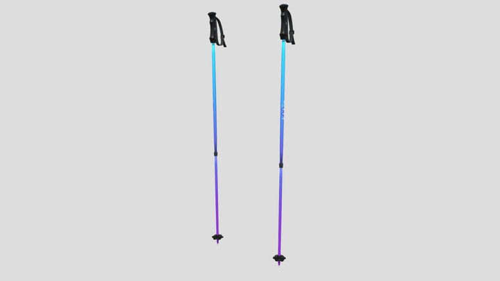 ski poles tooiin 3D Model