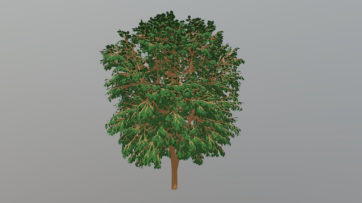 Lowpoly Tree Model 3D Model