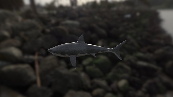 Tiburón 3D Model
