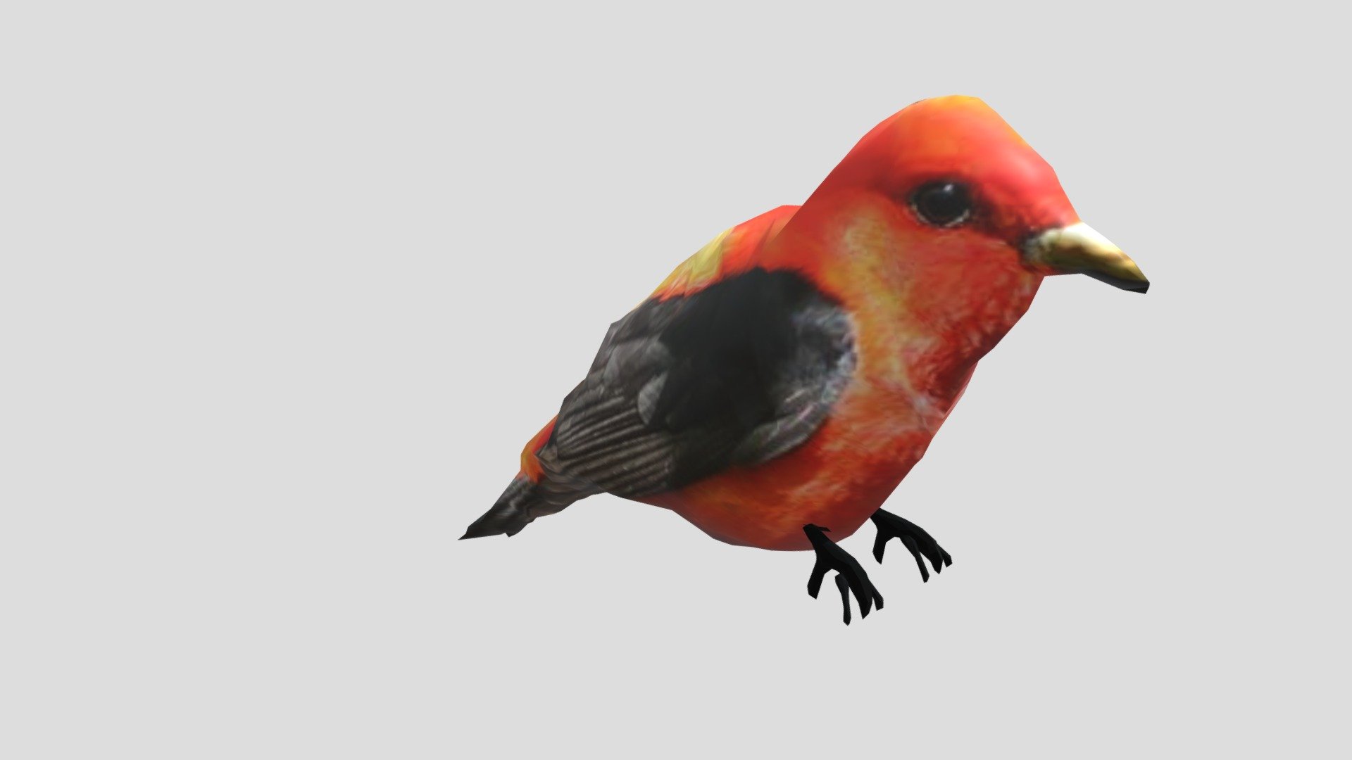 Bird - Scarlet Tanager