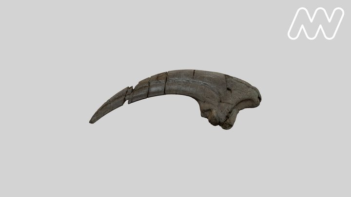 P239464 The Otway Claw 3D Model