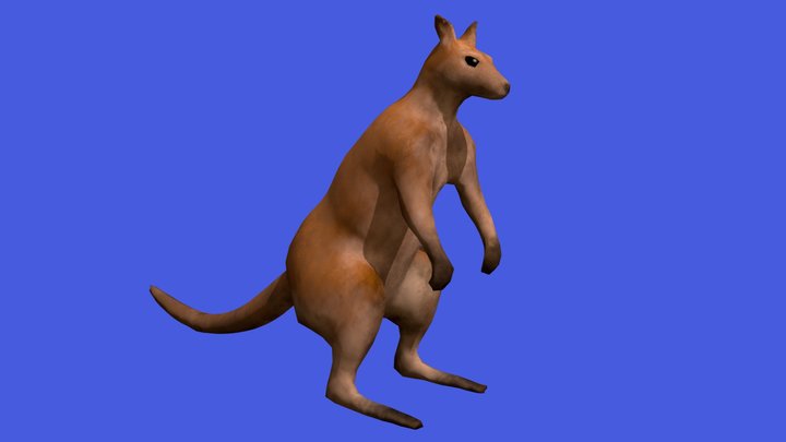 Kangaroo! 3D Model