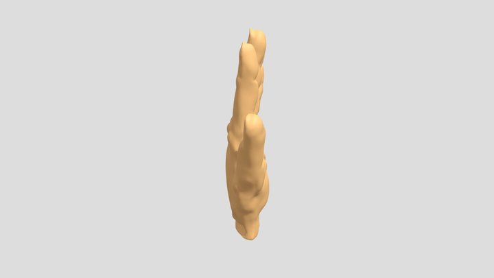 20220207_hand_Sculpt 3D Model