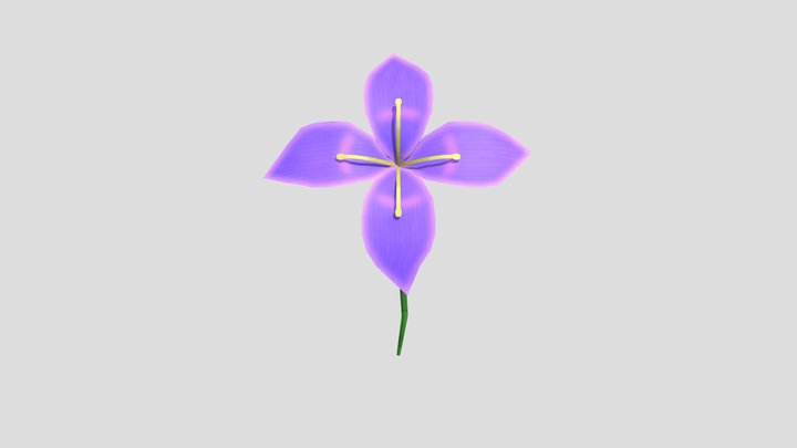 Flower 1 3D Model