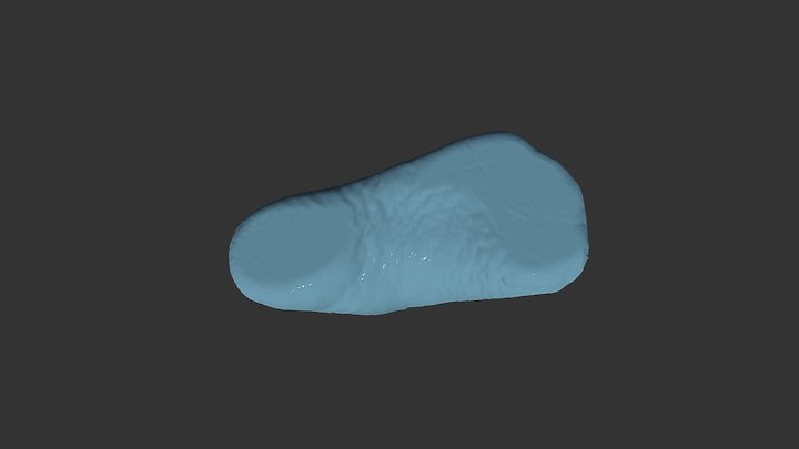Artec Eva : foot sole placed on glass plate 3D Model