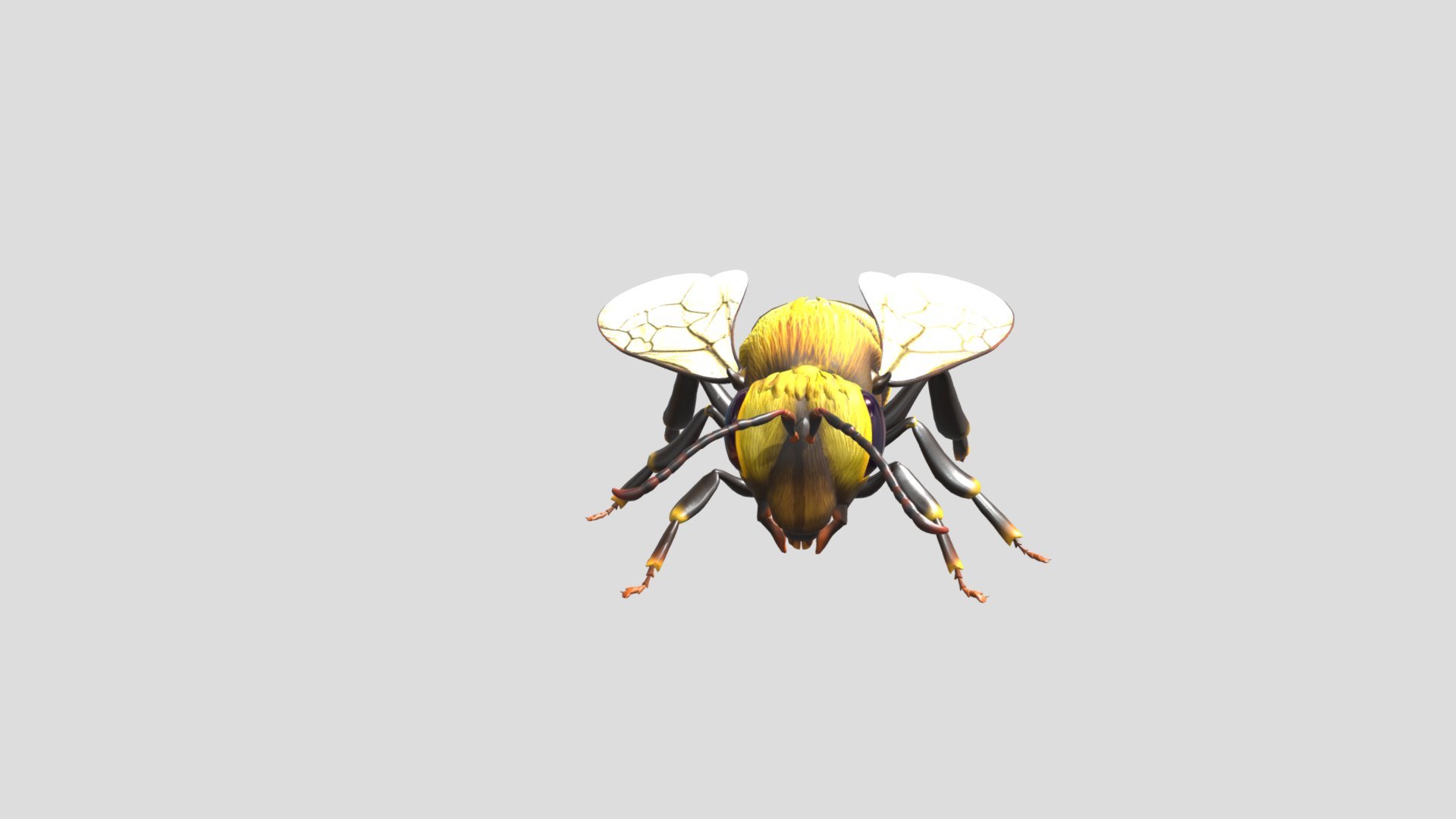 test.