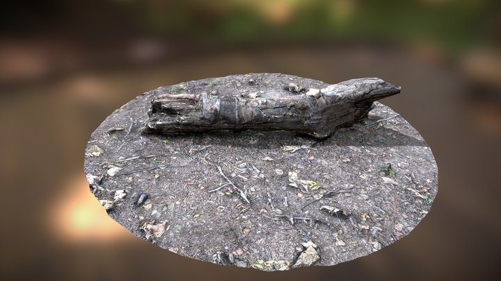 Tree log 3D Model