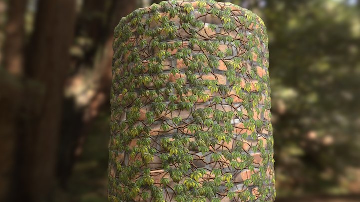 procedural wall material with ivy 3D Model
