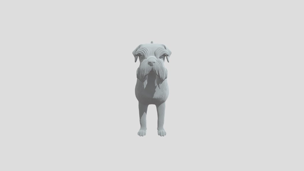 Midnight Schnauzer