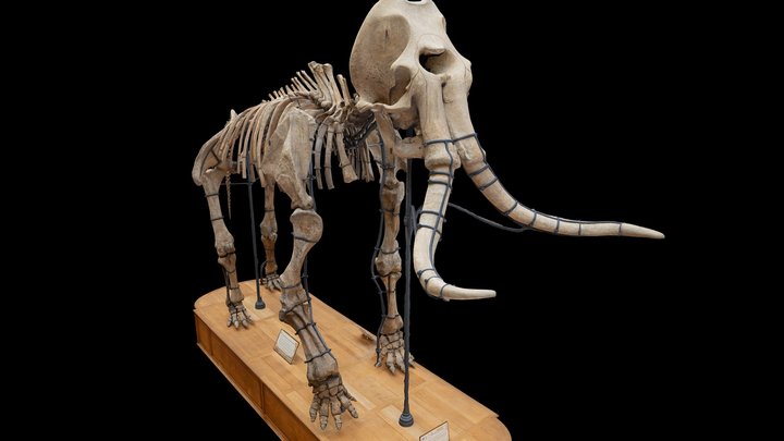 Frozen Undead Mammoth - Tjornir, 3D models download