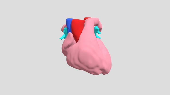 heartanimation2 3D Model