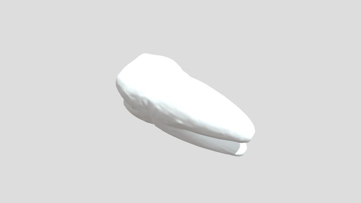 Borrowed_Scan_3 3D Model