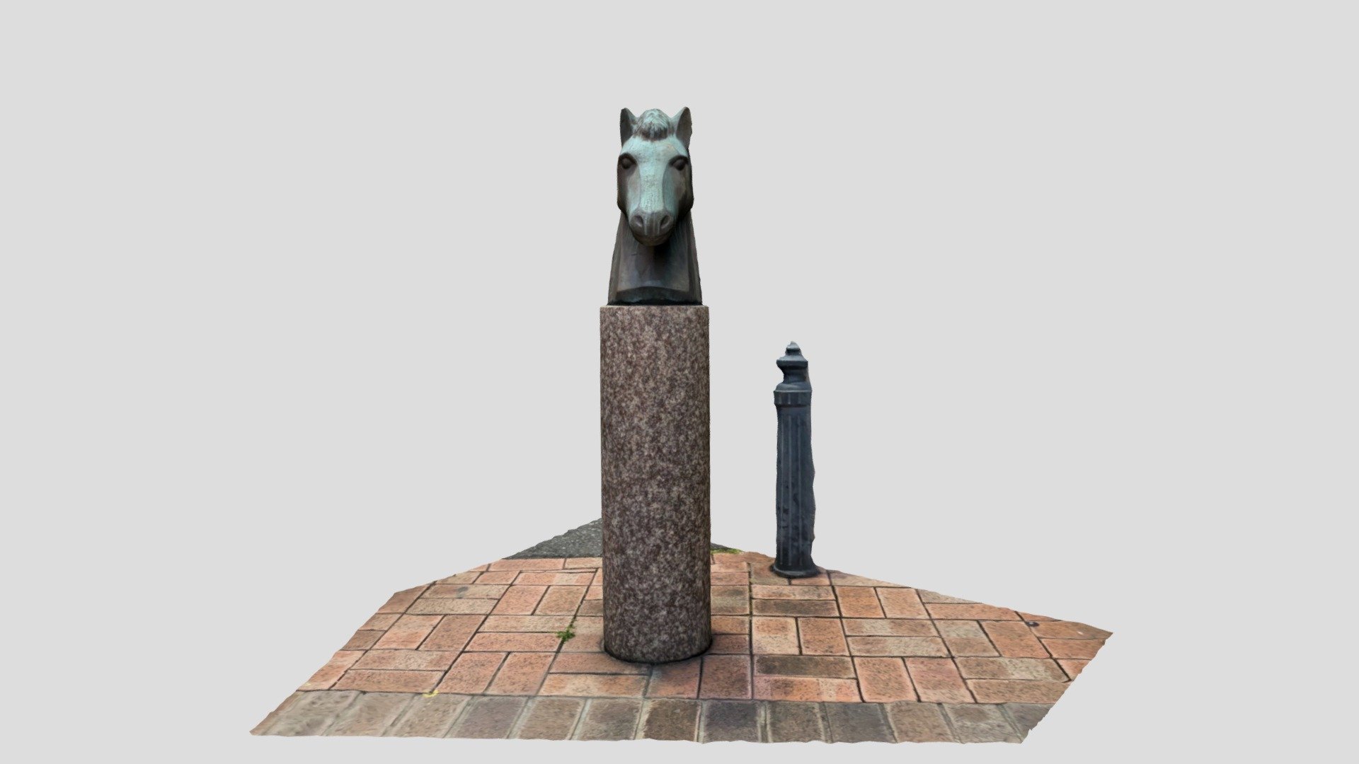 horse-head