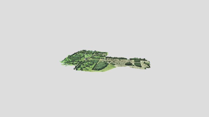 hh_simplified_3d_mesh 3D Model