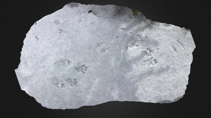 Footprints in the Snow – Modello 3D gratuito STL