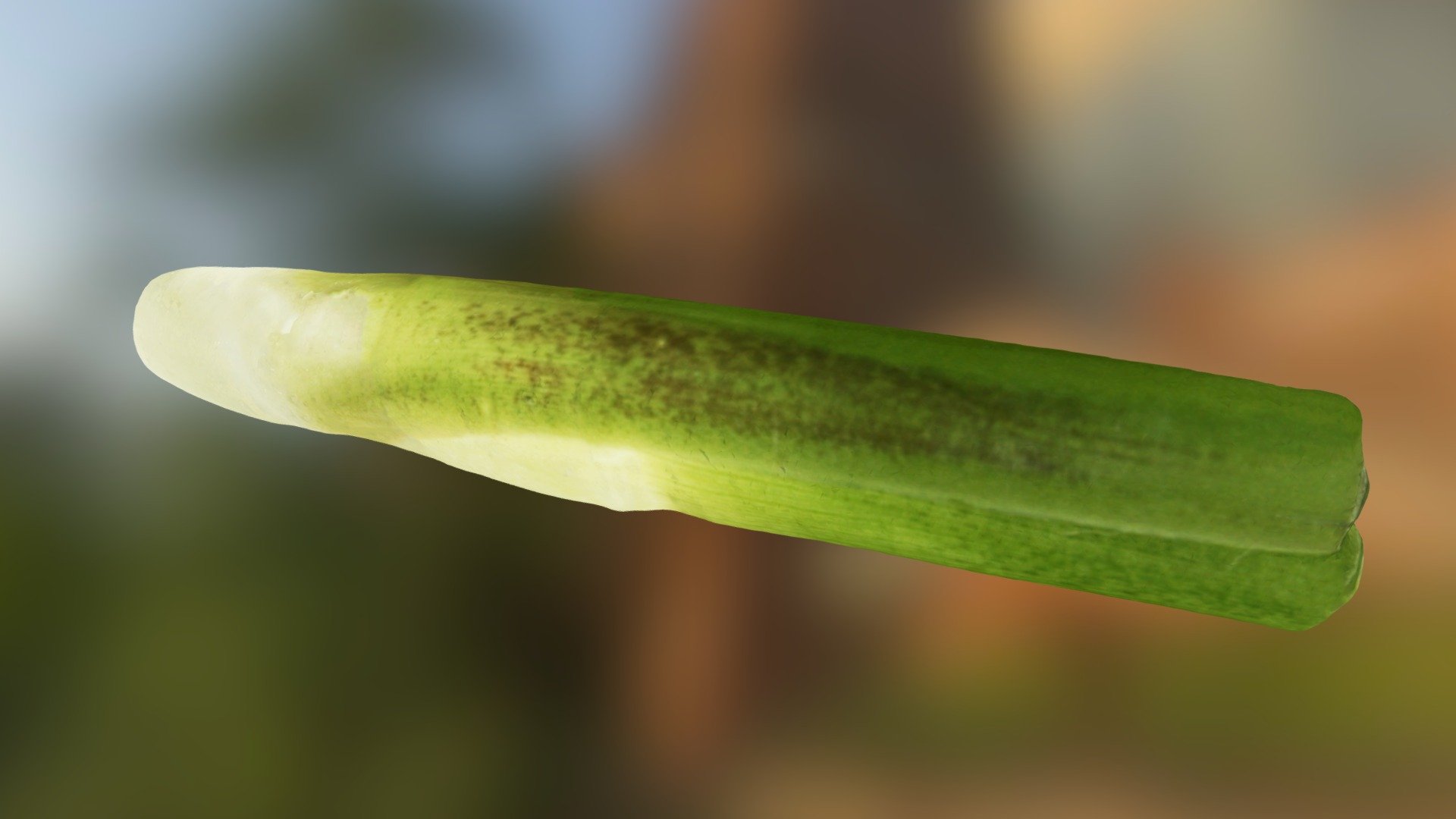 The Manchurian Wild Rice - 3D model by amazingdesign [fe0985b] - Sketchfab